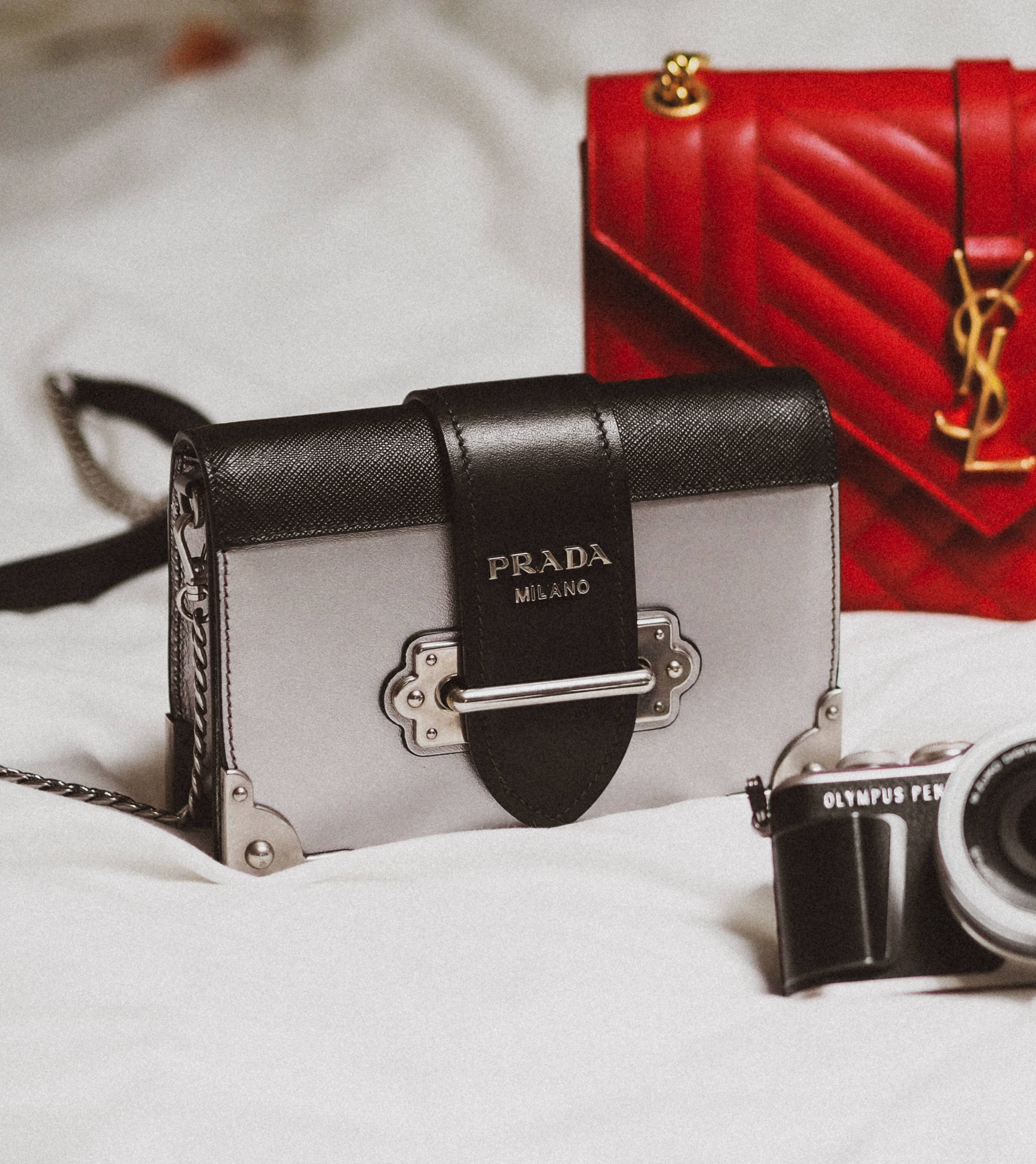 Túi Prada Và YSL Hình nền