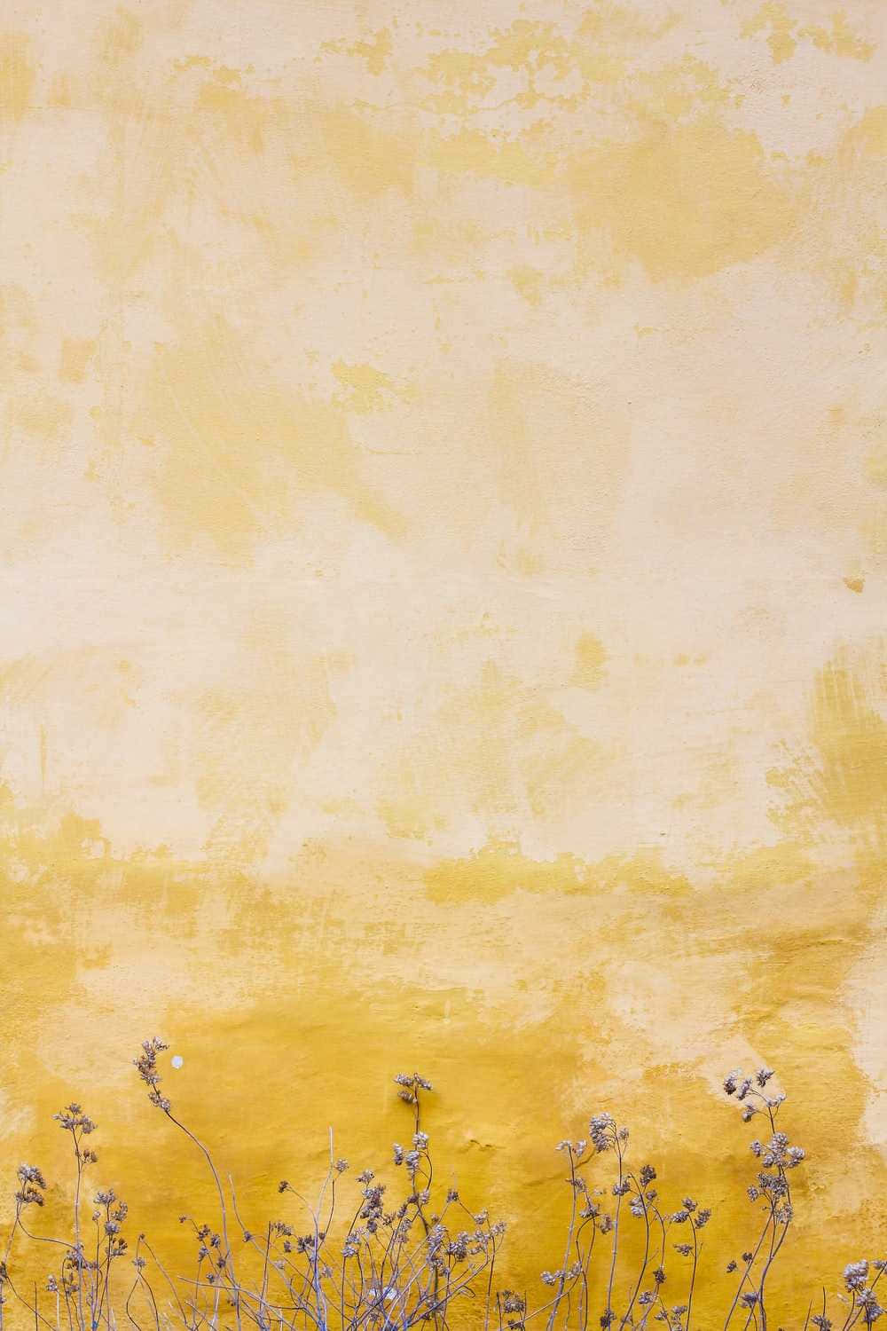 Tường Vàng Pastel Nhạt Mờ Hình nền