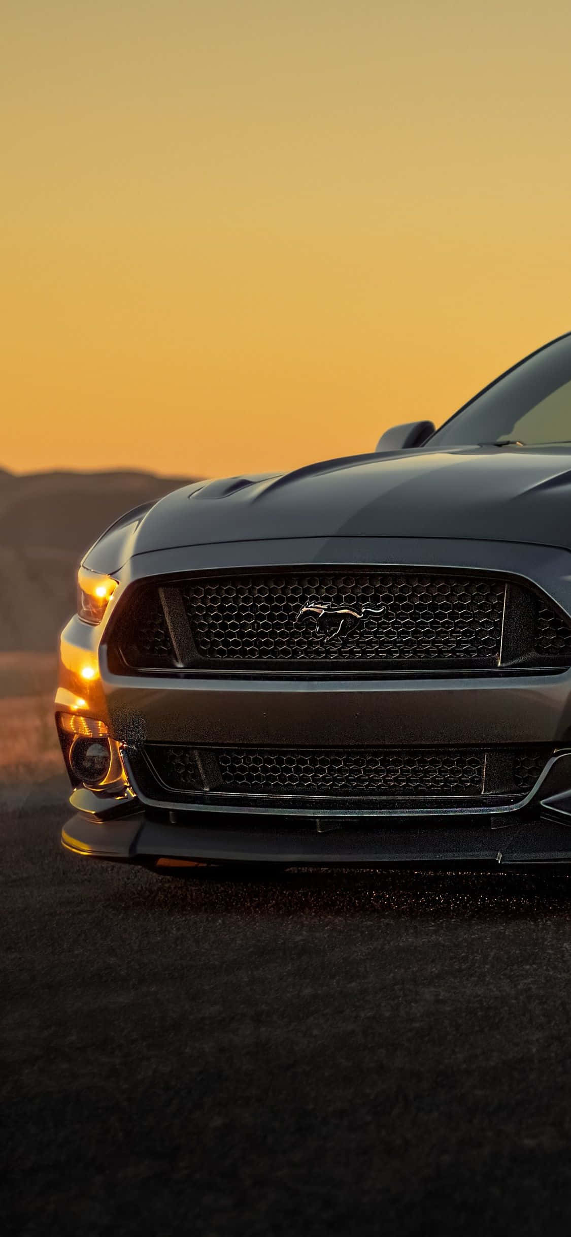 Đưa Ford Mustang mới nhất lên điện thoại của bạn Hình nền