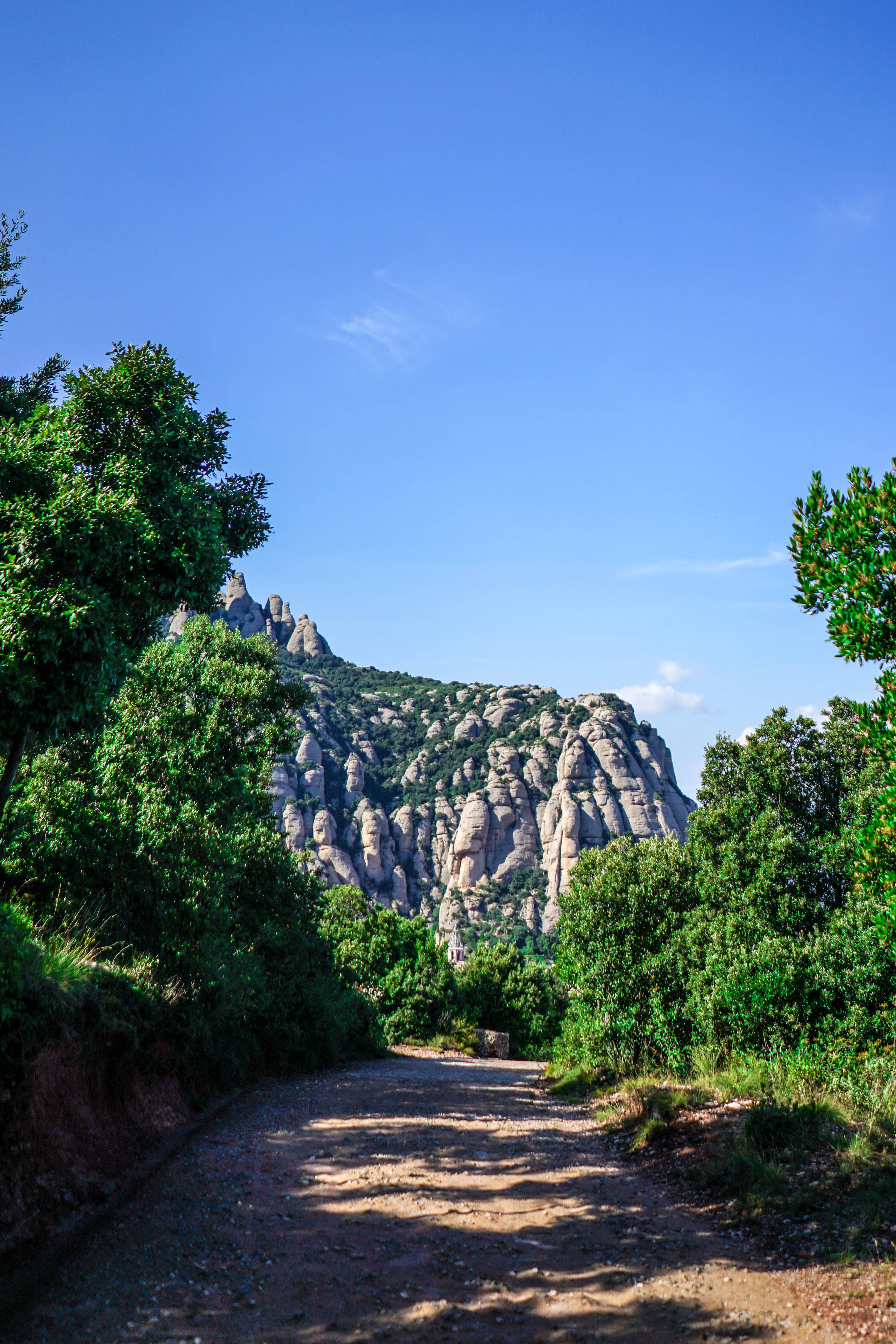 Đường mòn rừng Montserrat Hình nền