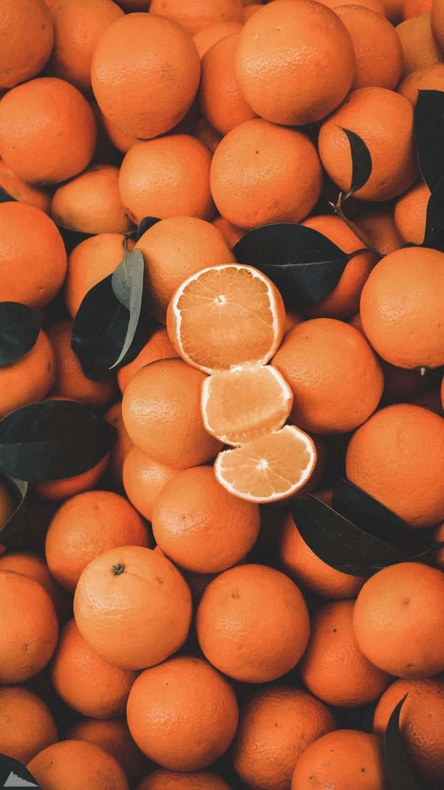 Vẻ đẹp tự nhiên hiện diện trong nhiều sắc màu, kể cả màu cam 🍊 Hình nền