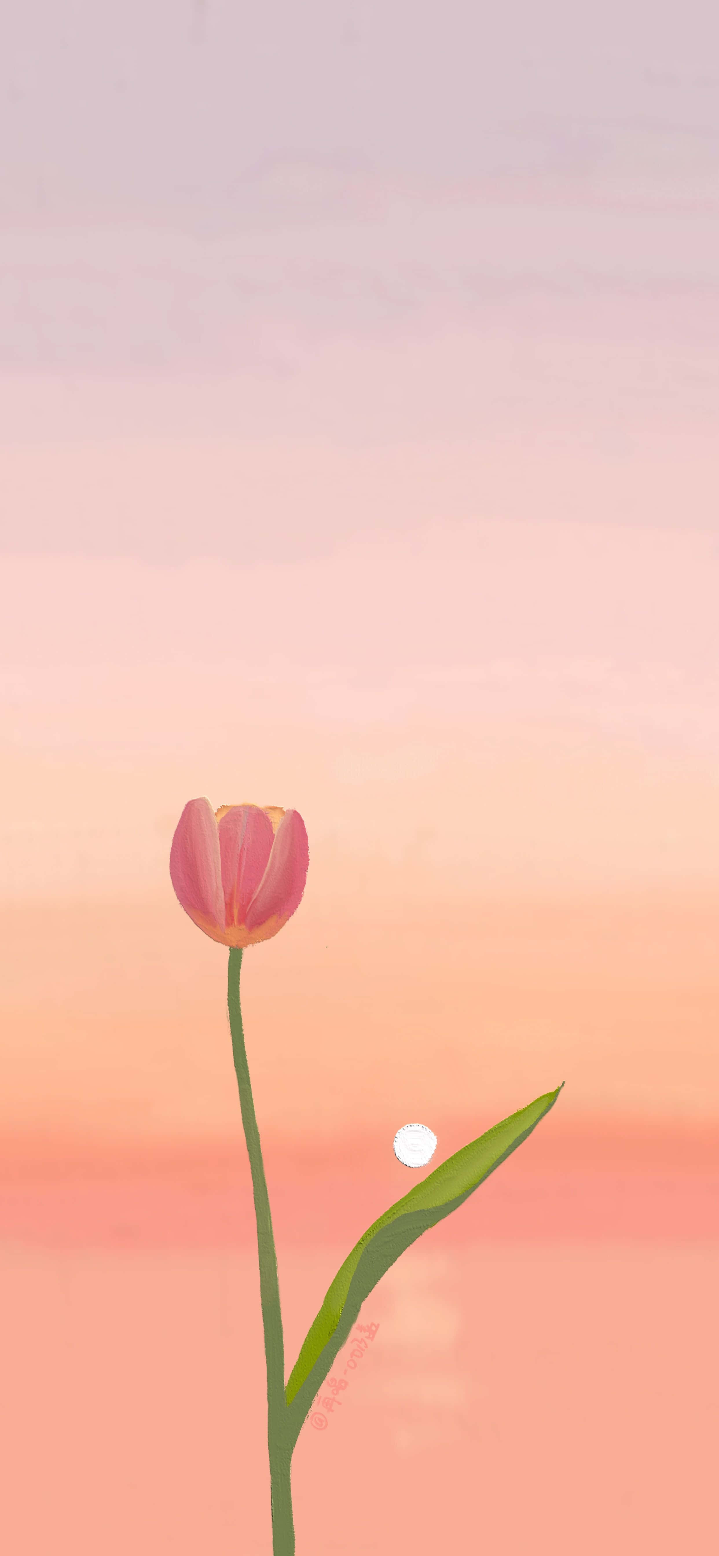 Vẻ đẹp của hoa Tulip Hình nền
