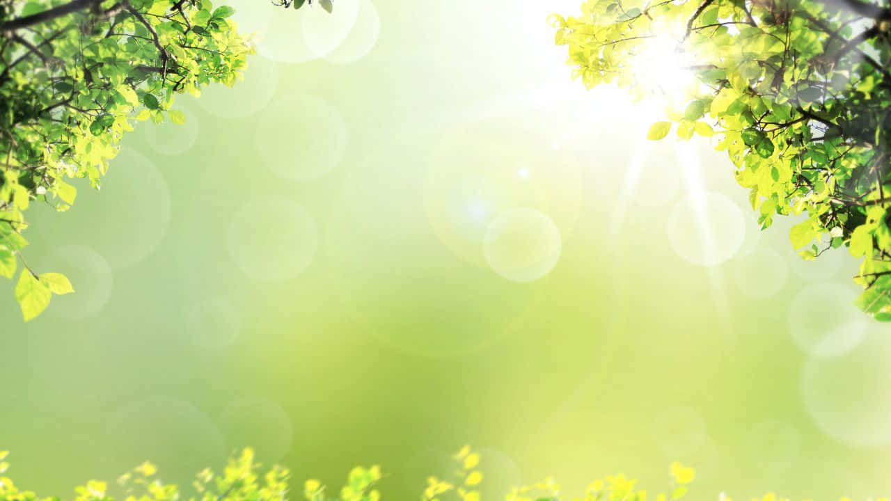 Vẻ đẹp hùng vĩ của bãi biển vô tận từ trên cao Hình nền