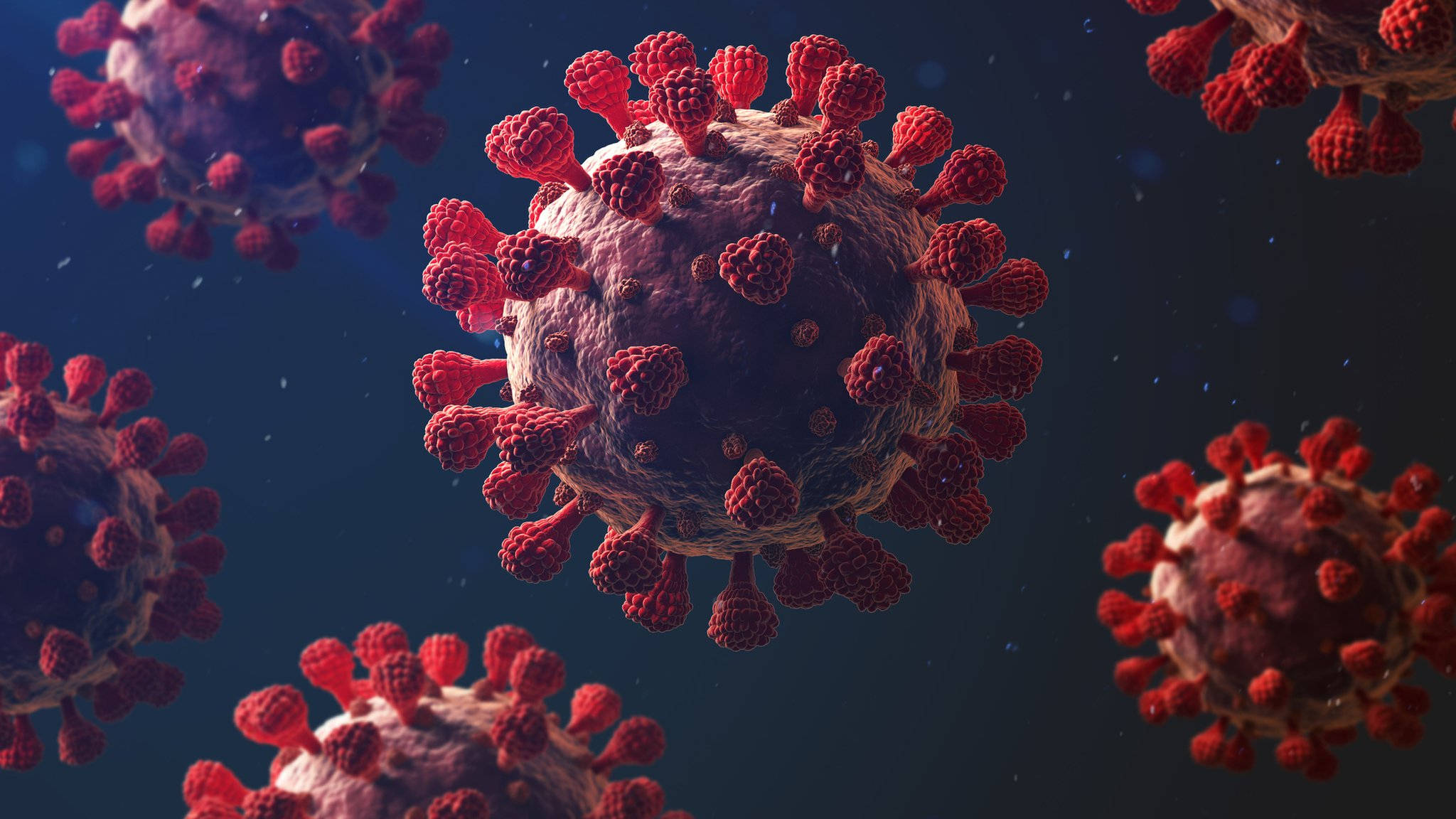 Virus Corona Gai Đỏ Hình nền