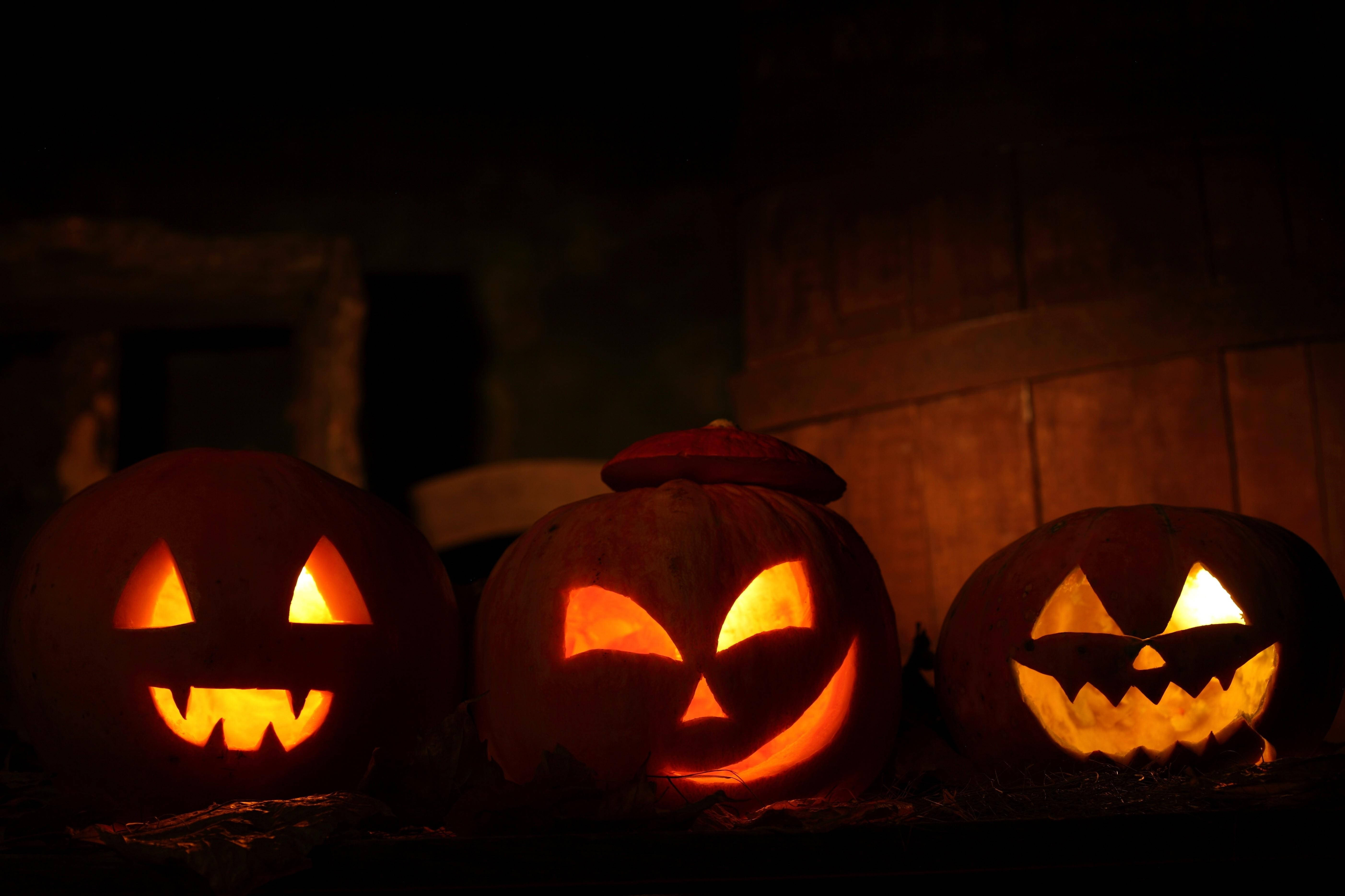 Vừa kịp lễ Halloween, những quả bí ngô được chạm khắc dưới ánh trăng tròn Hình nền