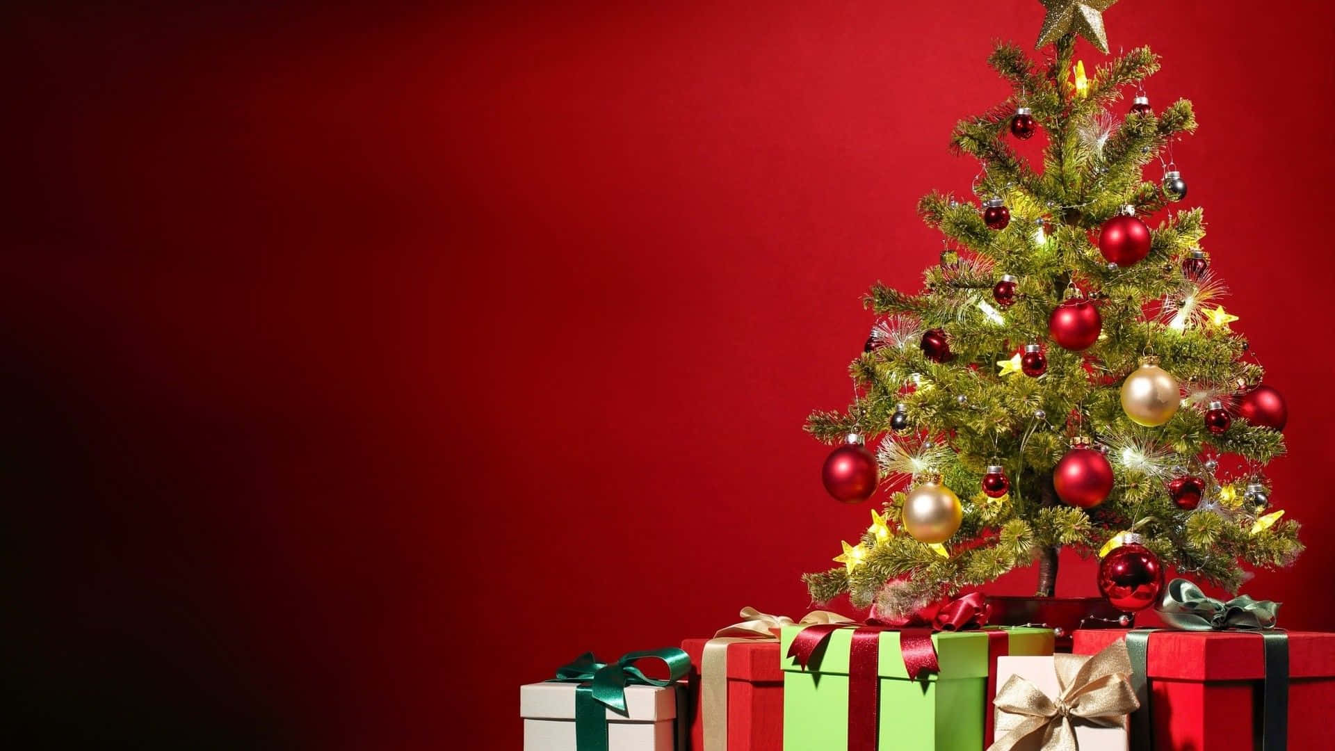 Vui vẻ trong kỳ nghỉ lễ với cây thông Noel rực rỡ được trang trí bằng sao và đồ trang trí đầy màu sắc Hình nền