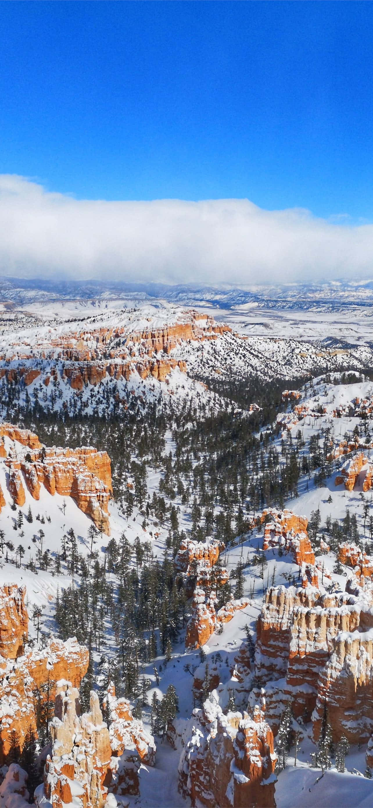 Vườn Quốc Gia Bryce Canyon Tuyết Sâu Hình nền