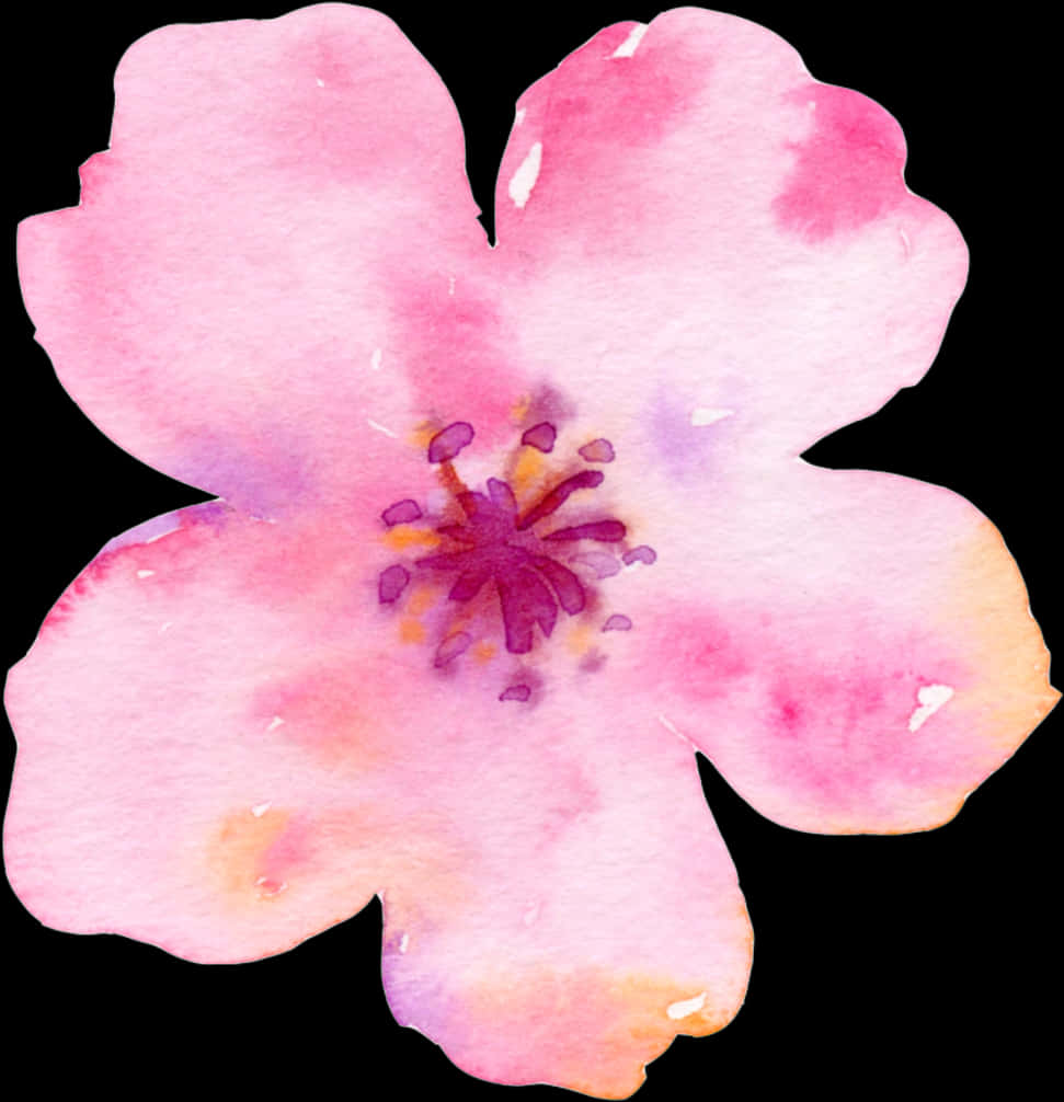 Watercolor Cherry Blossom Artwork Hình nền