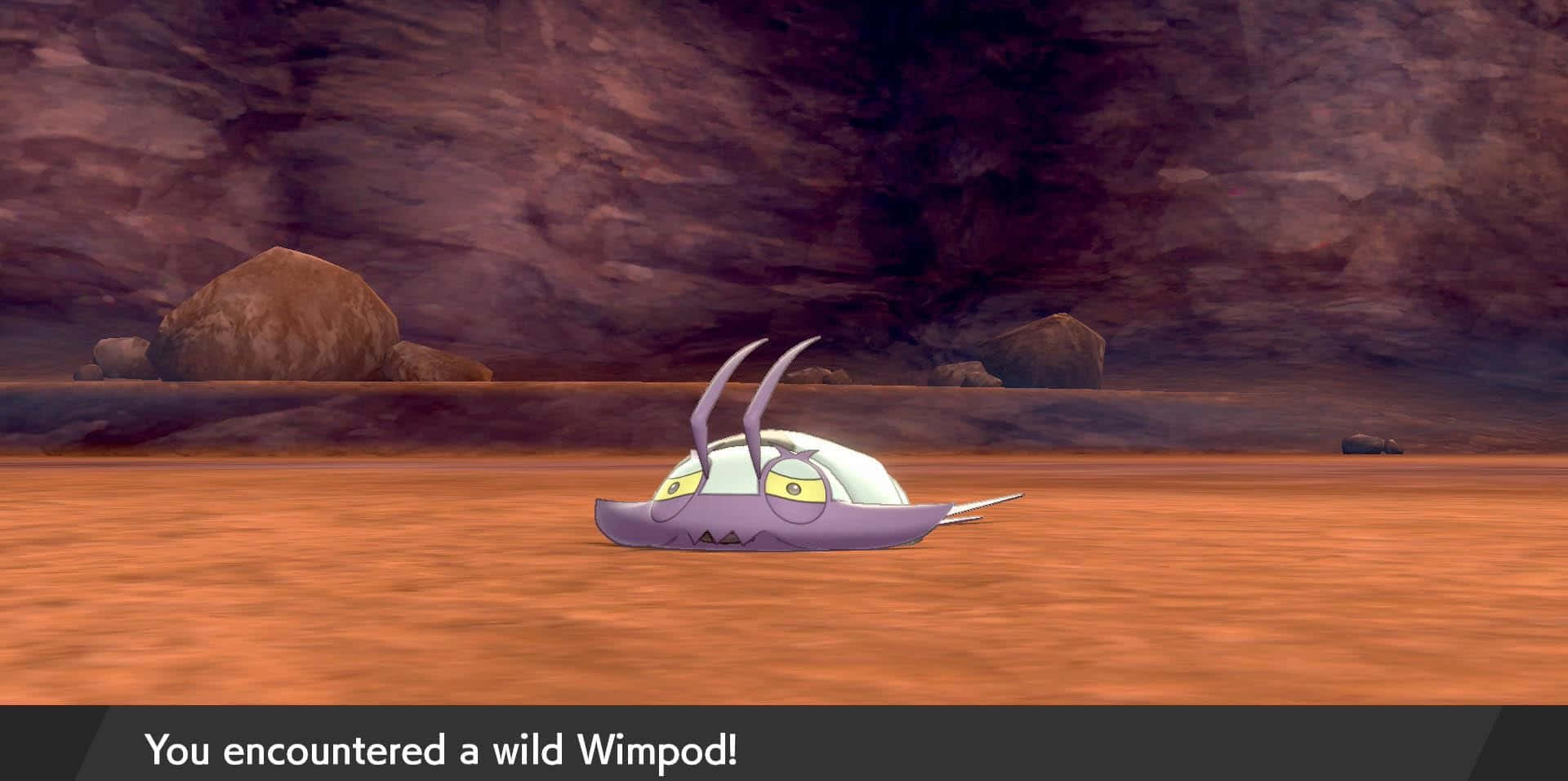 Wimpod hoang dã Pokemon Sword và Shield Hình nền