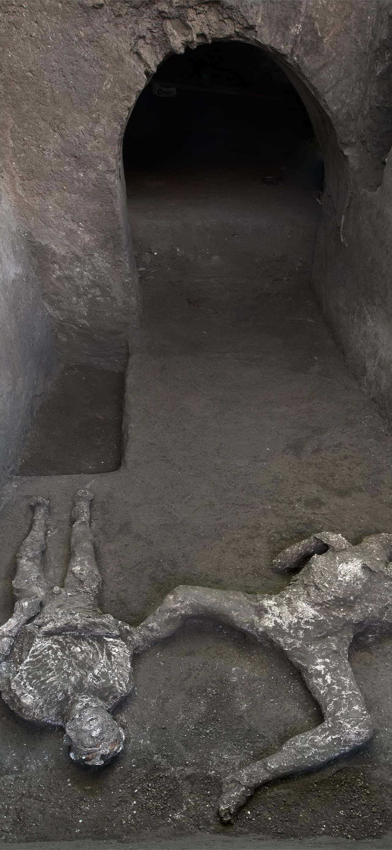Xác người được khai quật tại Pompeii Hình nền