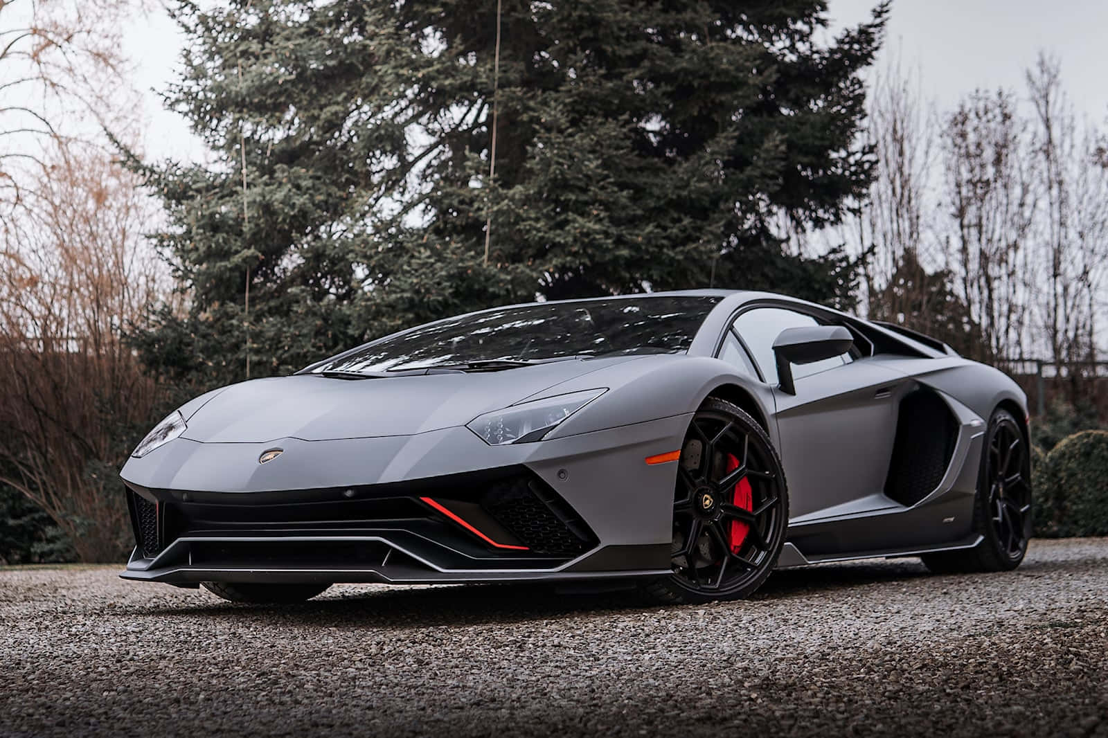 Xe Lamborghini màu xám đậu trước một cái cây Hình nền