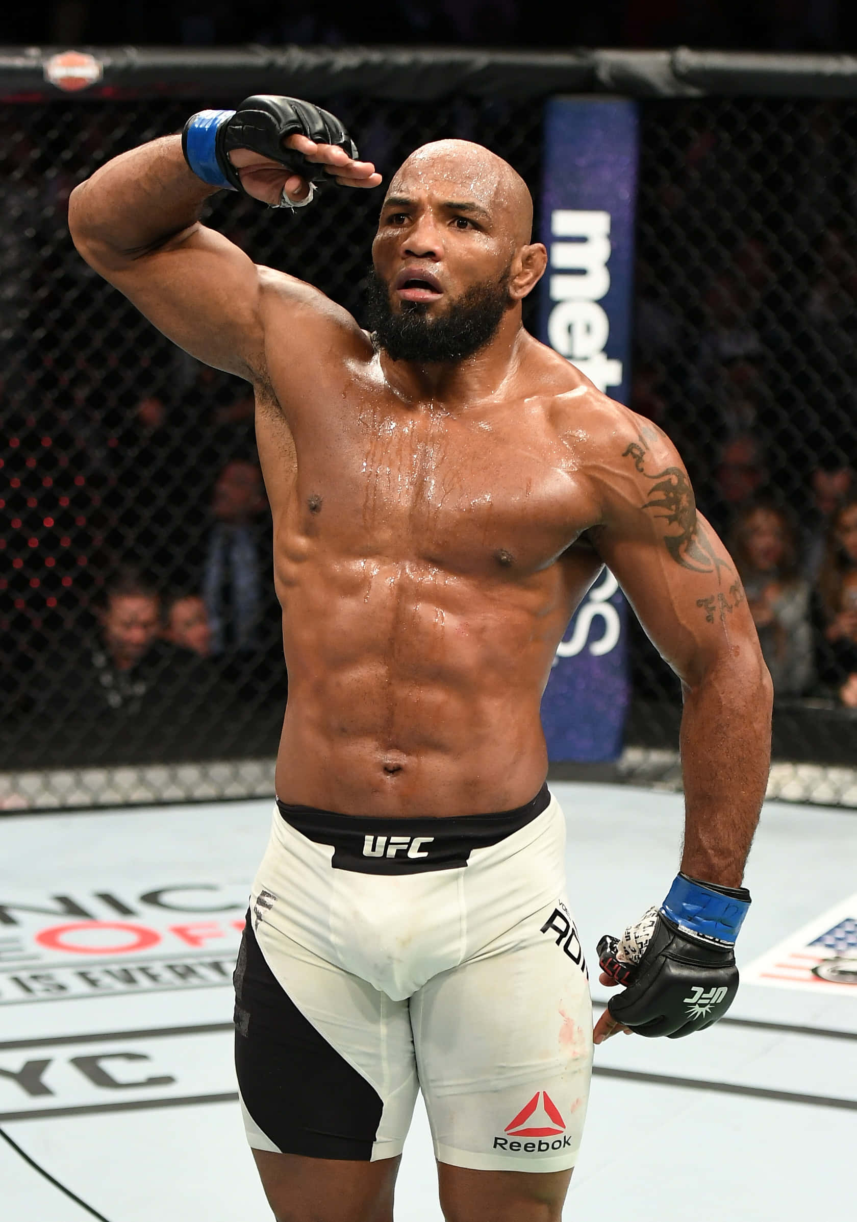 Yoel Romero chào khán giả tại UFC 205 Hình nền