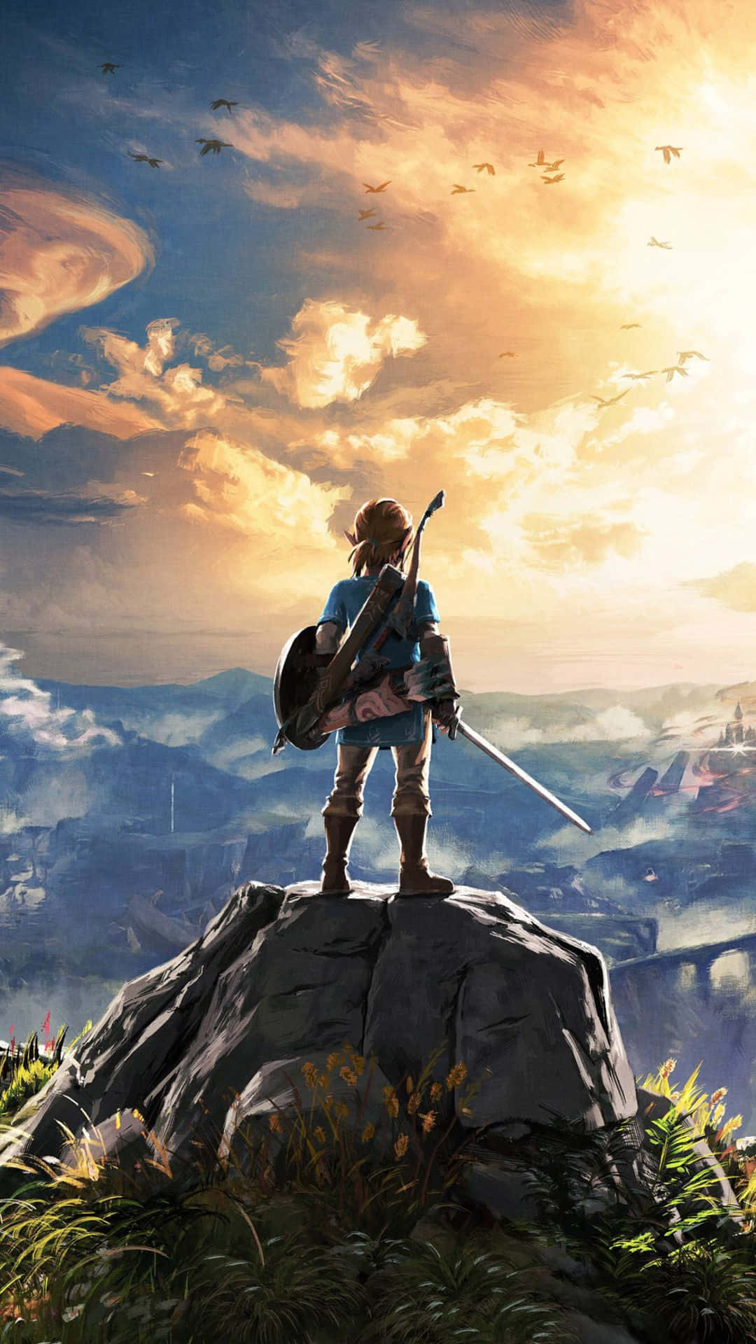 Zelda Botw Link Đứng Trên Một Tảng Đá Hình nền