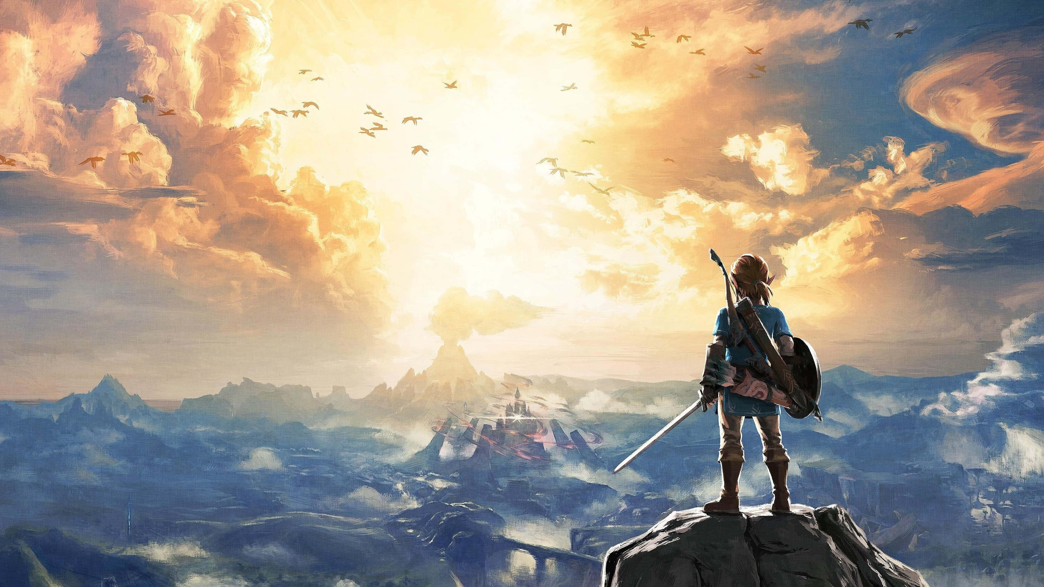 Zelda Breath Of The Wild 4K Link Nhìn Lên Bầu Trời Hình nền