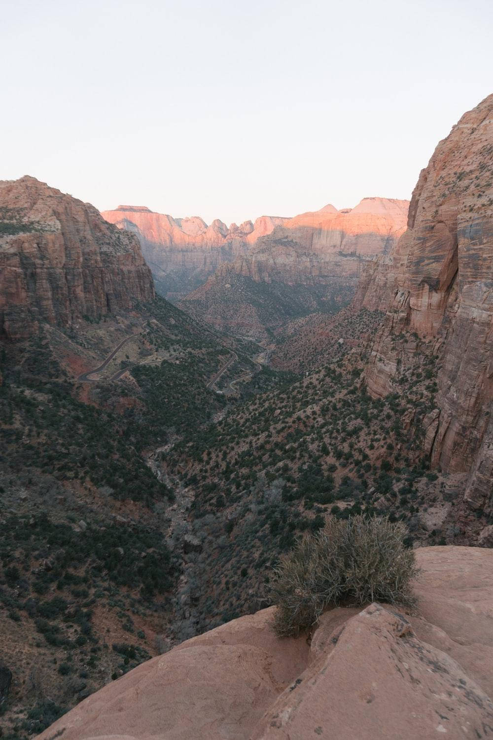 Zion National Park hùng vĩ với những khối đá hình tổ ong Hình nền