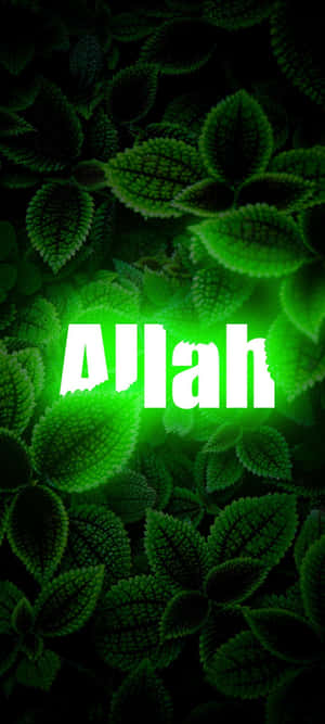 Hình nền Allah — Pixel 10 Hình nền