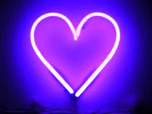 Trái tim neon — Neon tím Hình nền