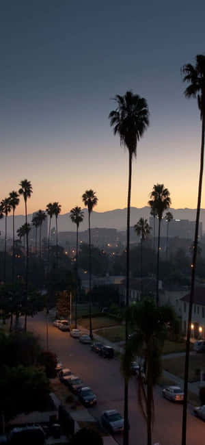 Hình nền California cho iPhone X — Motorola Edge Hình nền
