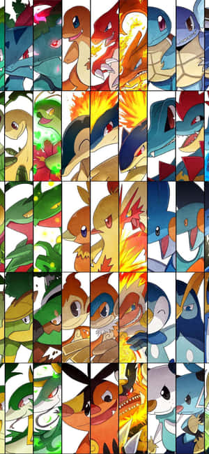 Ảnh ghép tiến hóa Pokémon có Meganium — Vivo V50e Hình nền