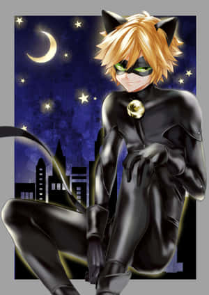 Hình ảnh Cat Noir