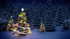 Ba Cây Thông Noel Đẹp Ngoài Trời
