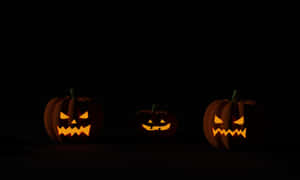 Nền bí ngô Halloween — Halloween GIF Hình nền