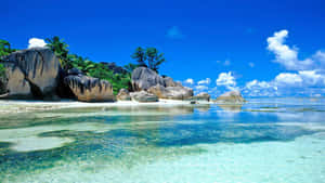 Bãi biển HD