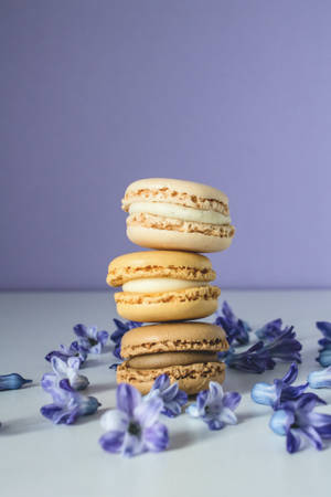 Bánh Macaron Màu Pastel Be Cho iPhone