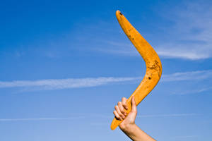 Bắt Lấy Niềm Vui: Trẻ Em Chơi Boomerang Trong Công Viên — 3:2 Hình nền