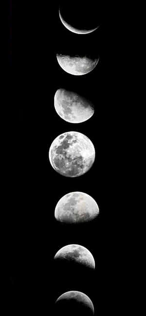 1284x2778 — iPhone 16e Hình nền