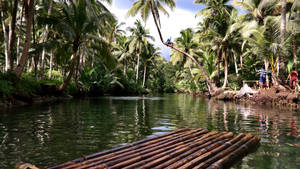 Hình nền bè tre sông Maasin đảo Siargao — Pro Display XDR Hình nền