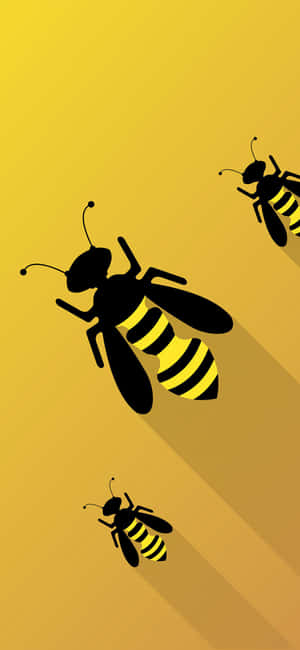 Bee Iphone — Vivo V70 Elite Hình nền
