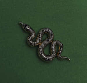 Hình ảnh thẩm mỹ Slytherin — Thẩm mỹ slytherin Hình nền