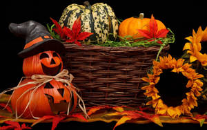 Bí ngô Halloween dễ thương cùng hoa — Dễ thương phong cách halloween Hình nền