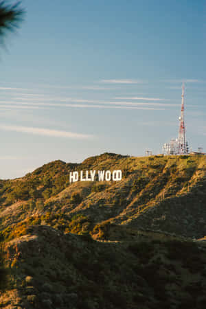 Hình nền Hollywood — POCO Pad Hình nền