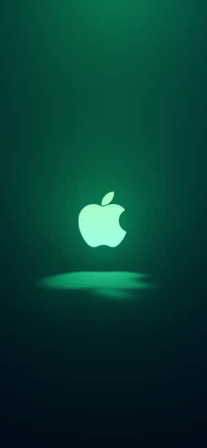 iPhone 11 Xanh — Pixel 8 Hình nền