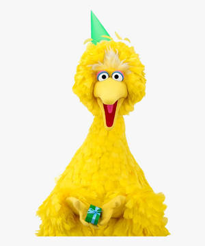 Hình nền Big Bird Sinh Nhật Vui Vẻ — Motorola Razr Ultra 2025 Hình nền