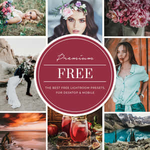 Hình ảnh cài đặt Lightroom — Hoa đẹp Hình nền