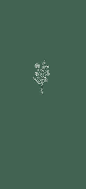 Aesthetic Green Minimal Bouquet Of Flowers — OnePlus Nord 4 Hình nền