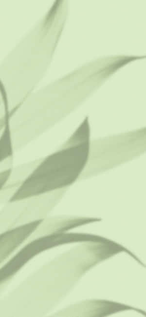 Nền Xanh Nhạt — Xanh aesthetic GIF Hình nền