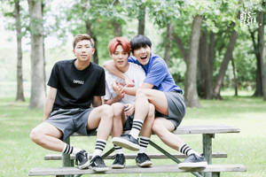 BTS Bộ Ba Thẩm Mỹ Trên Ghế Công Viên — Thẩm mỹ bts Hình nền