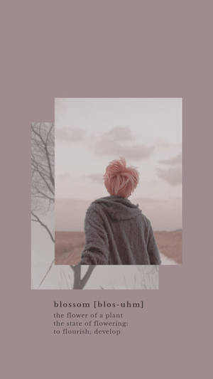 BTS Jimin Hoa Nở Thẩm Mỹ — Thẩm mỹ bts Hình nền