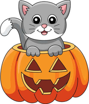 Hình ảnh Halloween hoạt hình — Phim hoạt hình halloween Hình nền
