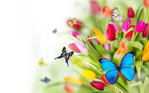 Bướm Xuân Dễ Thương và Hoa Tulip — Dễ thương mùa xuân Hình nền