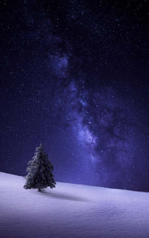 Snow Iphone — Pixel Tablet Hình nền