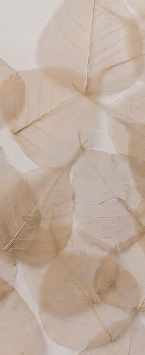 1080x2636 — Xiaomi Mix Flip 2 Hình nền