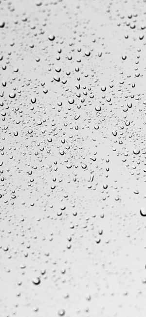 1290x2796 — OnePlus Ace Hình nền