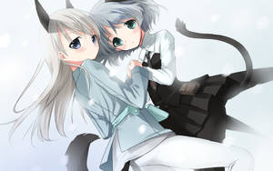 Hình nền cặp đôi mèo đồng tính anime — Anime đồng tính nữ Hình nền
