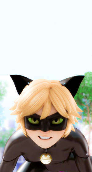 Hình nền Cat Noir Ánh Mắt Dữ Dội — Mèo Hình nền