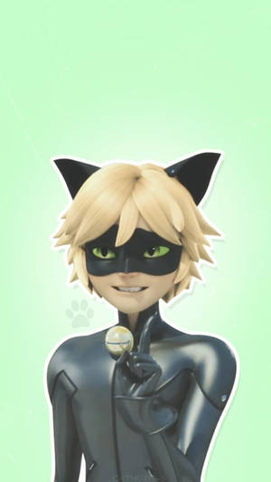 Hình nền Cat Noir cử chỉ dễ thương